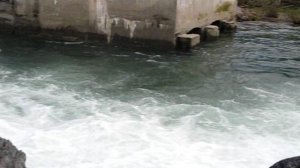 ГЛАДКОВ - Алтая горные хребты