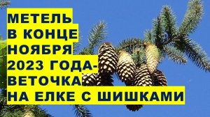 Метель, ветер в конце ноября 2023 - только репетиция перед настоящей зимой Weather for winter 2024