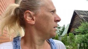 Как обрезать туи.