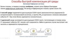 Биохимия. Лекция 33. Кислотно-основное равновесие