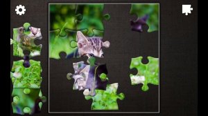 PLAYING JIGSAW PUZZLE EPIC GAME 142