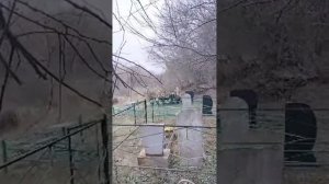 Кто может работать с миром мертвых | Этапы работы с погостом  | Уроки некромантии |