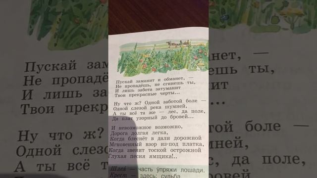 TTlive: Литературное чтение/Ефросинина/4класс/2часть/Блок/стихи/Россия смотреть онлайн