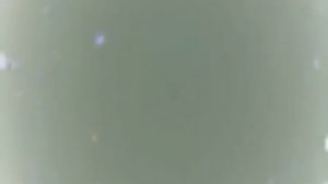 Ловля крупного окуня зимой.