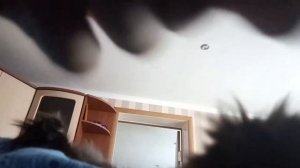 Как заставить кошку кайфовать