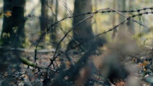 ОСЕНЬ В ЛЕСУ / VLOG 4 / EE88