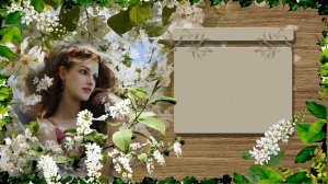 Черемуха душистая  ***   Футаж и переходы "Черемуха" скачать бесплатно