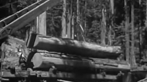 первые лесорубы Канады