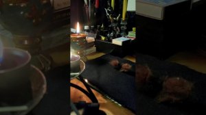 Магия.Личные консультации.