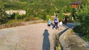 ВЛОГ. Поездка в Алушту. Крым. Пансионат "Лазурный". июль 2021