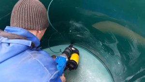 Футеровка колодцев