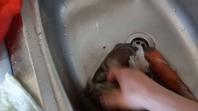 Грязь растворилась (2часть)