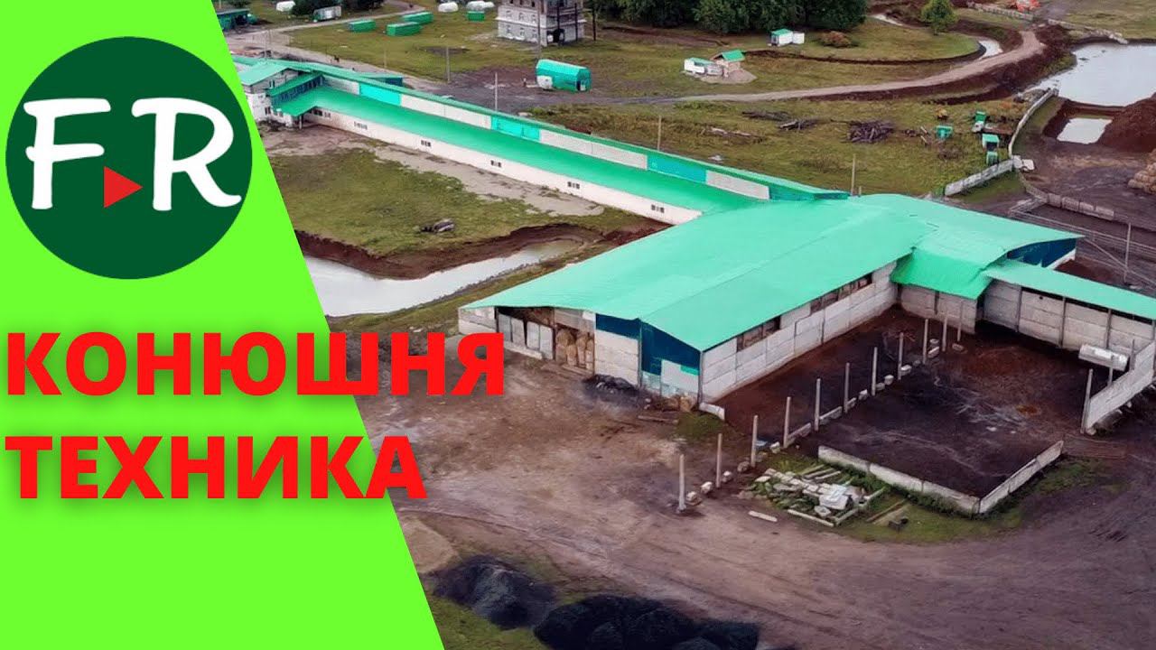 Содержание лошадей. Техника для заготовки кормов. КФХ Идиятуллиных