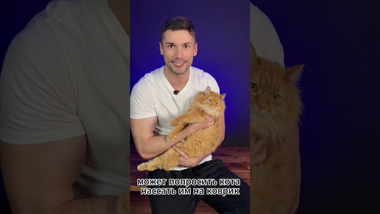 СОСЕДИ НЕ ДАЮТ СПАТЬ! ЧТО ДЕЛАТЬ? смотреть онлайн