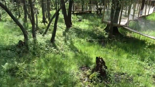 Коробчицы гродно | Каробчыцы гродна