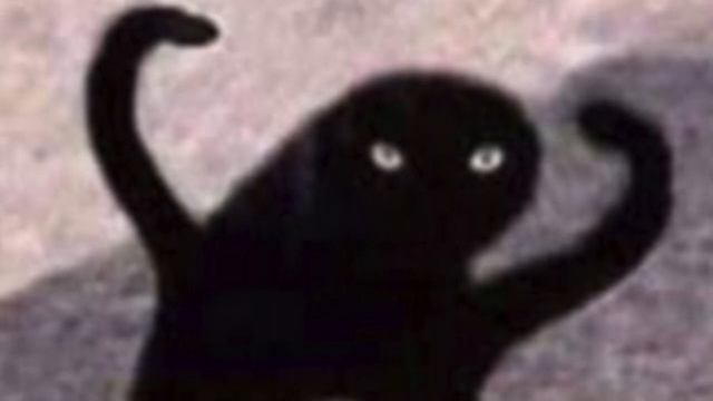 Ъуъ кот