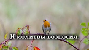 Гимны Надежды № 40 "Воспою любовь Христа" | Караоке минус | Христианские песни | Гимны надежды