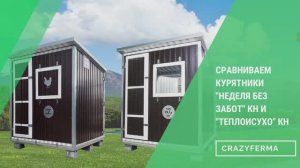 Круглогодичный курятник для дачи на 45 голов! Современные решения, цифровые технологии, автоматика!