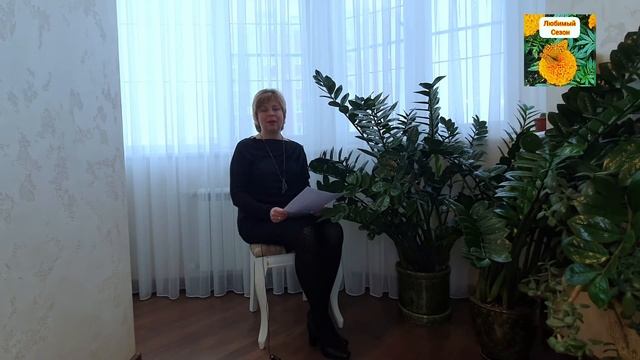 Замиокулькас.  Секреты выращивания.