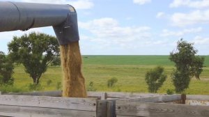 Новый полноприводный ACROS 595 Plus 4WD