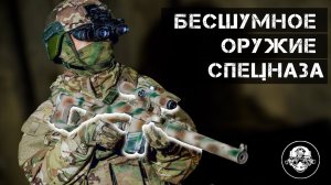 Бесшумное оружие спецагентов и разведчиков. Из чего стреляет Спецназ. Обзор моей новой книги