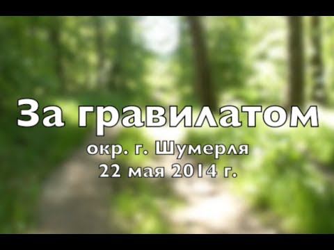 За гравилатом 22 мая 2014