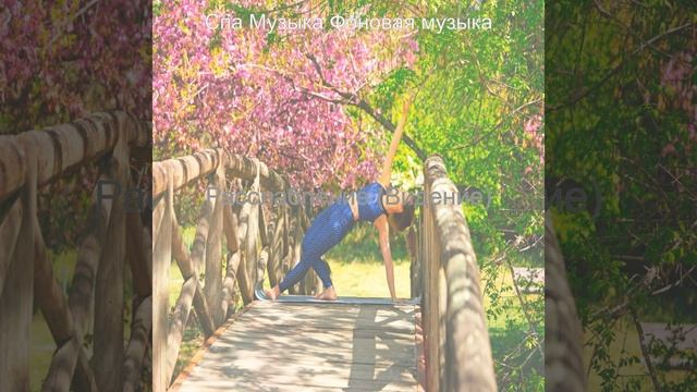 Впечатление Санаторно-курортное лечение