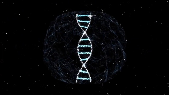 Школа Богов. Проект Я Аватар смотреть онлайн