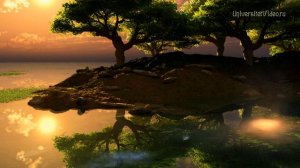 Волшебные футажи