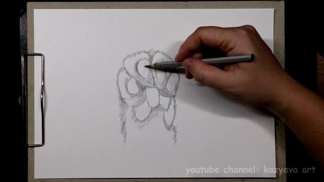 Как нарисовать лапку котика. Часть 2. Рисую шерсть. Поэтапное рисование