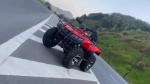 Квадроцикл PROMAX TRX320 (кардан)