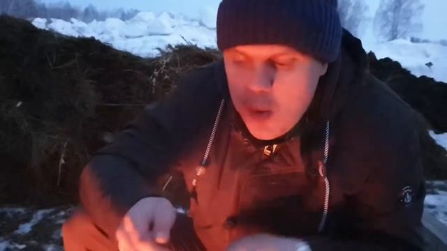 ПОЕДАНИЕ СВЕЖИНЫ ГОСТЯМИ. БИО-ФЕРМА МАНГАЛИЦА смотреть онлайн