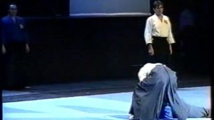 Айкидо, показательные выступления