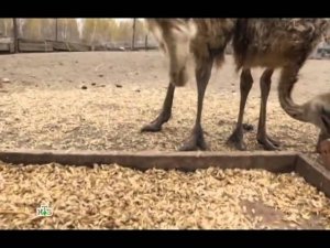 Хорошо там, где мы есть Нижний Новгород