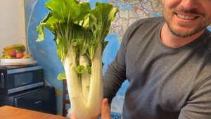 Бесплатная еда в Америке /Обзор продуктов/дают всем/Помощь и экономия/Из Германии в США/жизнь в США