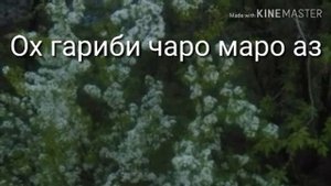 *Дилам хохад равам ба кухи модар*