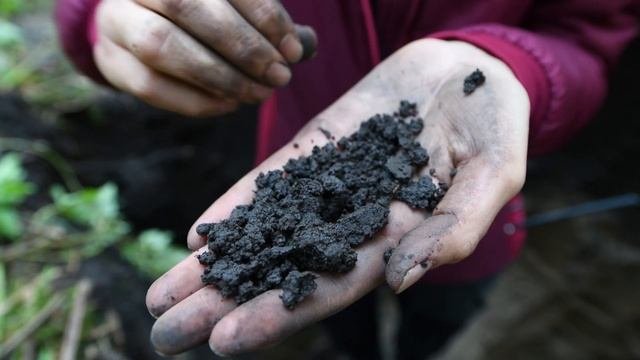 Как описывают морфологию почвенных горизонтов