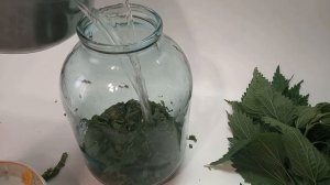 Крапивный квас.Сурица.