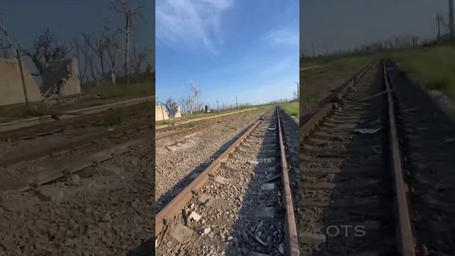 Эксклюзивные кадры из Новоселовского.