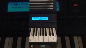 Let’s Go Luna - Luna’s Intro with her friends on the Casio WK-500