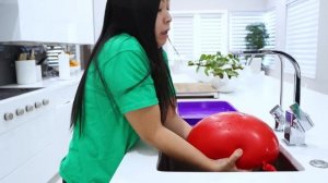 Giant Ice Balloons Melting Animals Easy DIY Science Experiments for kids!!!