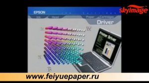 Как работает печатающая головка принтера?