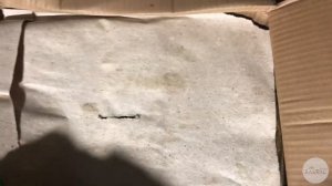 Пелядь холодного копчения