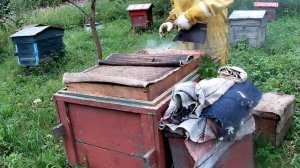 Сколько меда можно сьесть.О меде