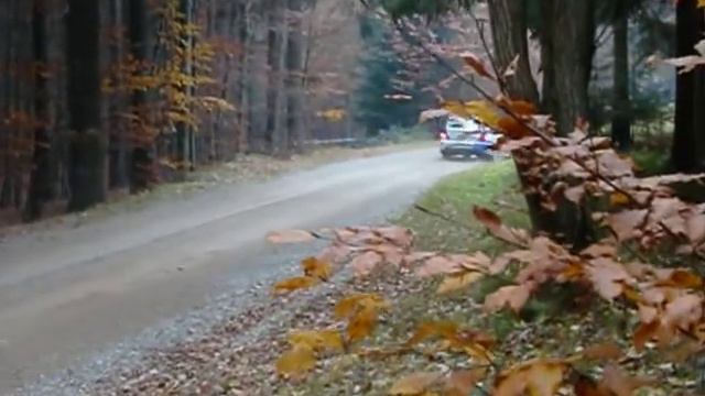 30. Rallye Waldviertel 2010 SP Kronsegg.wmv смотреть онлайн