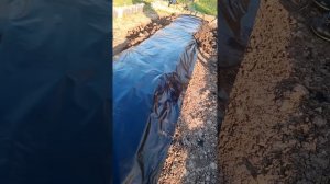 Посадка клубники на пленку