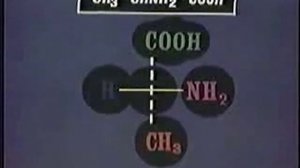 DL-система названий оптических изомеров