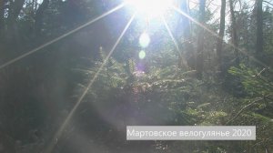 Мартовское велогулянье.  Калининград15.03.2020.