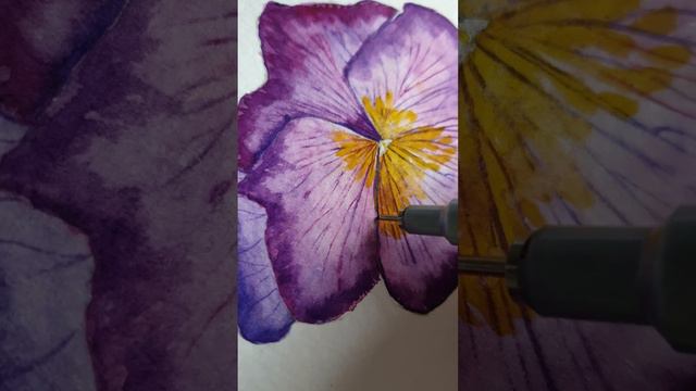 Анютины глазки акварелью / весенние цветы смотреть онлайн