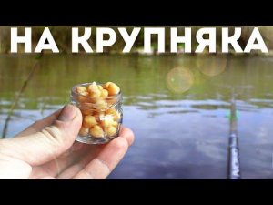 Лучше чем горох и кукуруза по крупняку работает именно эта насадка! Приготовьте этим способом нут
